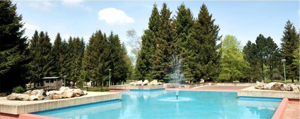 Ferienwohnung Schluesselblume Altenau  Zewnętrze zdjęcie
